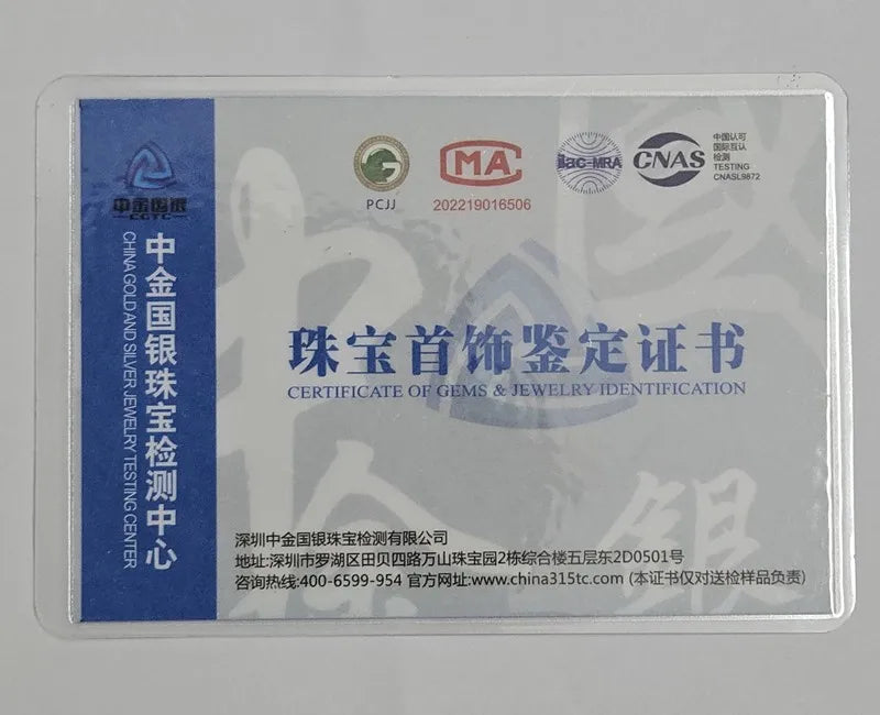 S925 Sterling Silver Moissanite Necklace for Women