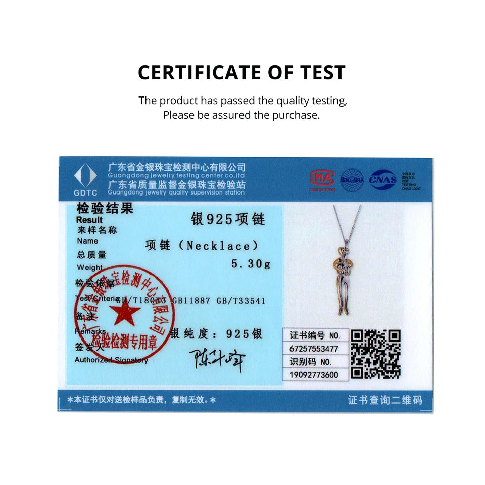 Elegant Two-Tone Hug Necklace in 925 Sterling Silver – Symbol of Love & Connection